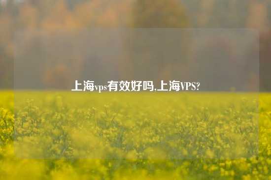 上海vps有效好吗,上海VPS?