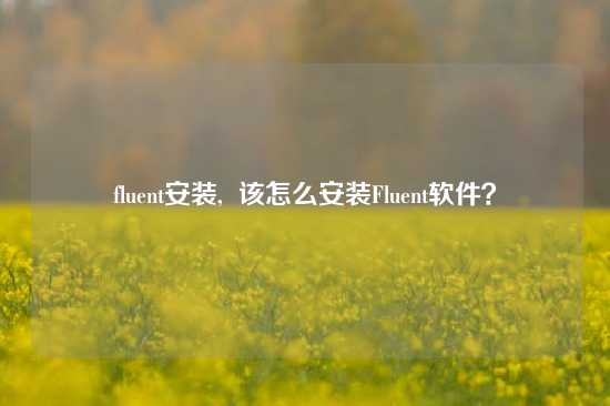 fluent安装,  该怎么安装Fluent软件？