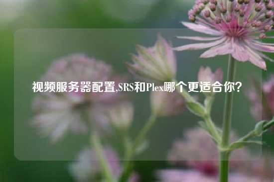 视频服务器配置,SRS和Plex哪个更适合你？