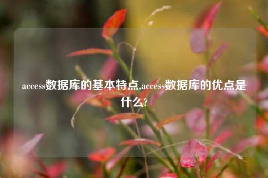 access数据库的基本特点,access数据库的优点是什么?