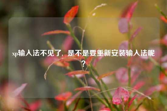 xp输入法不见了,  是不是要重新安装输入法呢？