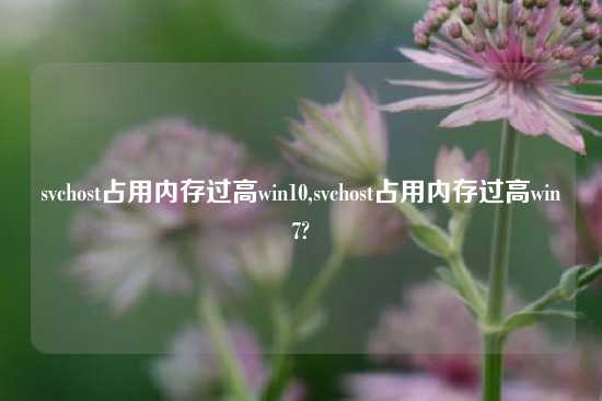svchost占用内存过高win10,svchost占用内存过高win7?