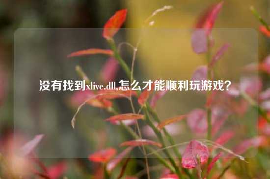 没有找到xlive.dll,怎么才能顺利玩游戏？