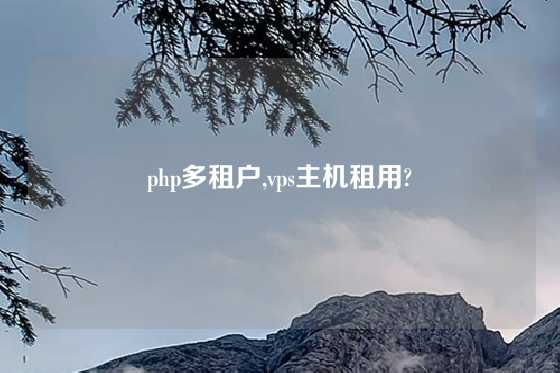 php多租户,vps主机租用?