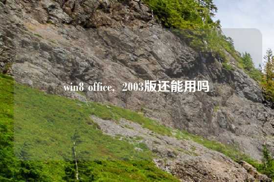 win8 office,  2003版还能用吗
