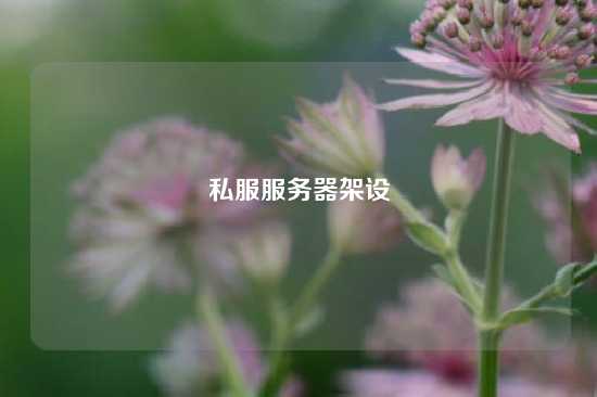 私服服务器架设