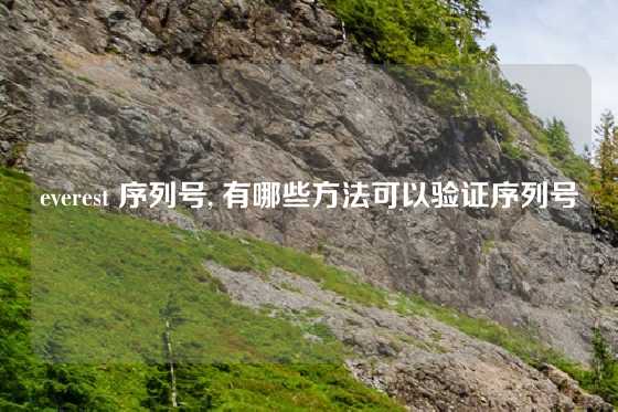 everest 序列号, 有哪些方法可以验证序列号