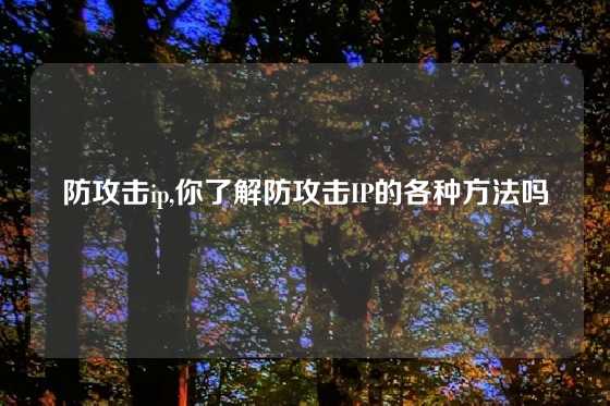 防攻击ip,你了解防攻击IP的各种方法吗