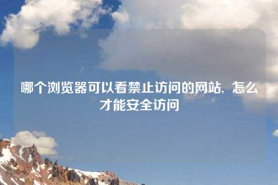 哪个浏览器可以看禁止访问的网站,  怎么才能安全访问