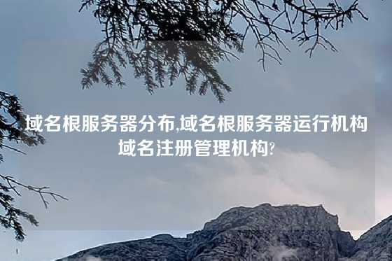 域名根服务器分布,域名根服务器运行机构域名注册管理机构?
