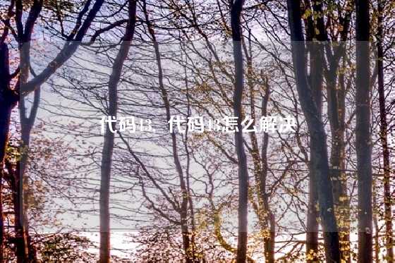 代码43,  代码43怎么解决