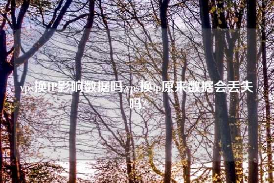 vps换IP影响数据吗,vps换ip原来数据会丢失吗?