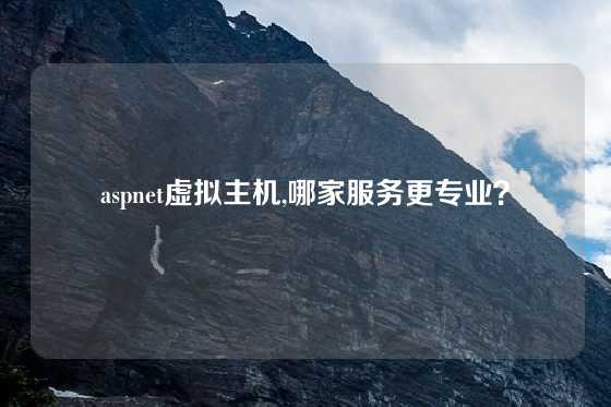aspnet虚拟主机,哪家服务更专业？