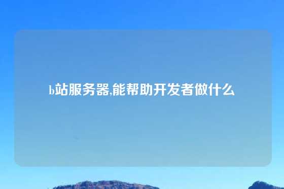 b站服务器,能帮助开发者做什么