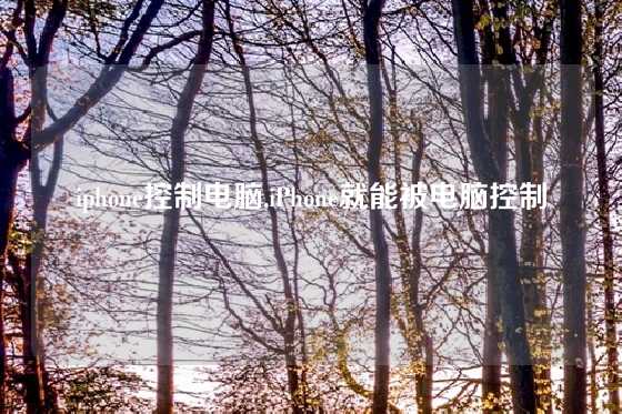 iphone控制电脑,iPhone就能被电脑控制