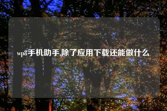 wp8手机助手,除了应用下载还能做什么