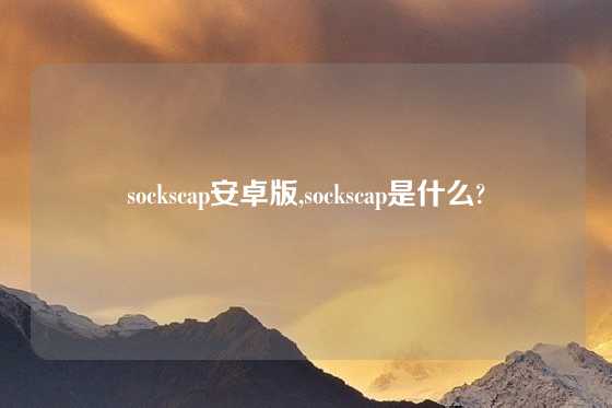 sockscap安卓版,sockscap是什么?
