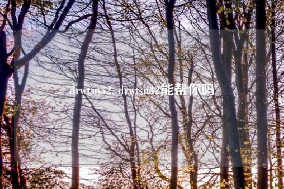 drwtsn32, drwtsn32能帮你吗