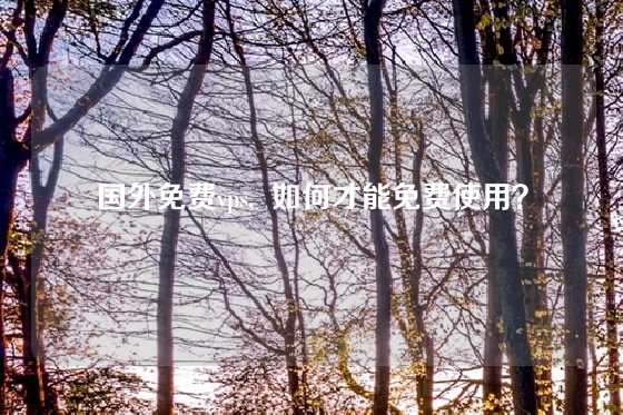 国外免费vps,  如何才能免费使用？