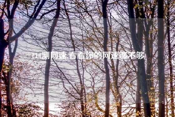 114测网速,看看你的网速够不够