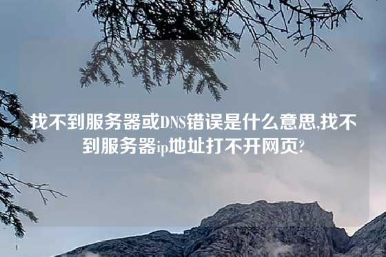 找不到服务器或DNS错误是什么意思,找不到服务器ip地址打不开网页?