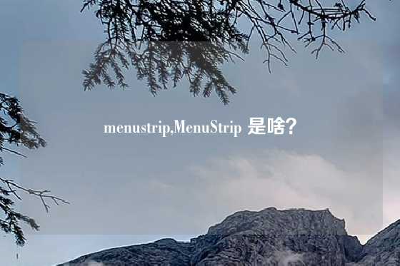 menustrip,MenuStrip 是啥？