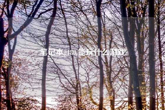 笔记本g480,能玩什么游戏