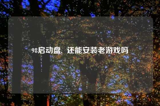 98启动盘,  还能安装老游戏吗