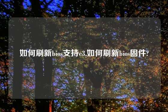 如何刷新bios支持e3,如何刷新bios固件?