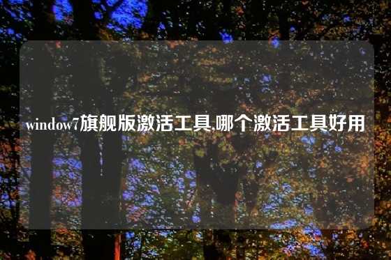 window7旗舰版激活工具,哪个激活工具好用