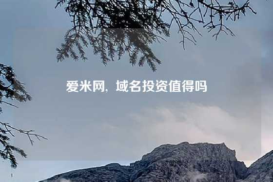 爱米网,  域名投资值得吗
