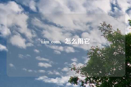 i.im com,  怎么用它