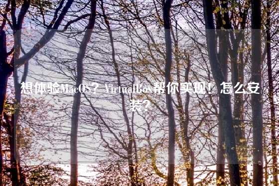 想体验MacOS？VirtualBox帮你实现！怎么安装？