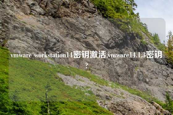 vmware workstation14密钥激活,vmware14.1.3密钥?