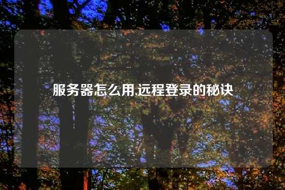服务器怎么用,远程登录的秘诀