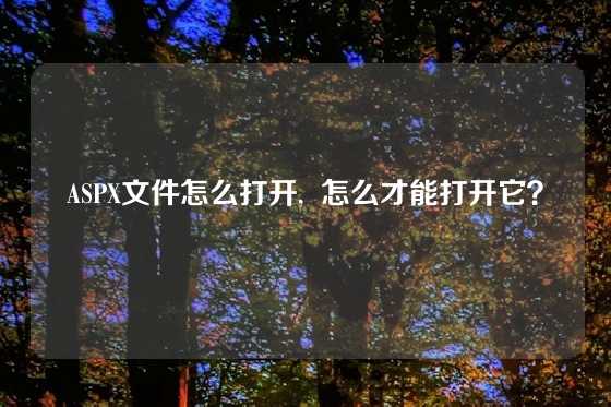 ASPX文件怎么打开,  怎么才能打开它？