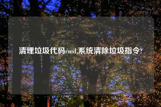 清理垃圾代码cmd,系统清除垃圾指令?