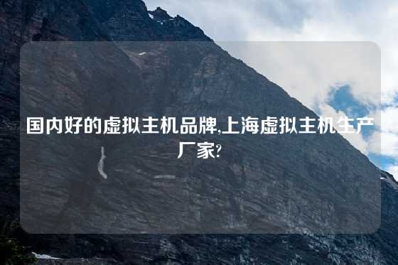 国内好的虚拟主机品牌,上海虚拟主机生产厂家?
