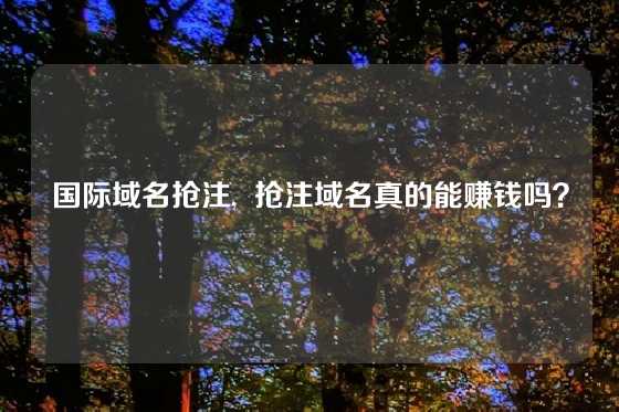 国际域名抢注,  抢注域名真的能赚钱吗？