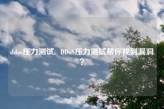 ddos压力测试,  DDoS压力测试帮你找到漏洞？