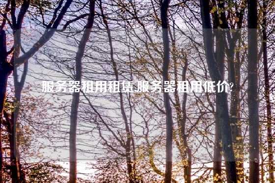 服务器租用租赁,服务器租用低价?