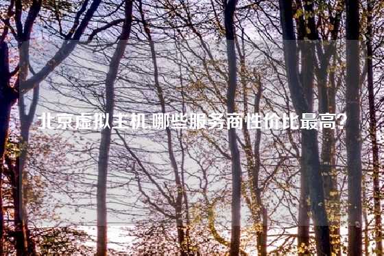 北京虚拟主机,哪些服务商性价比最高？