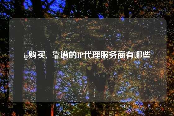 ip购买,  靠谱的IP代理服务商有哪些