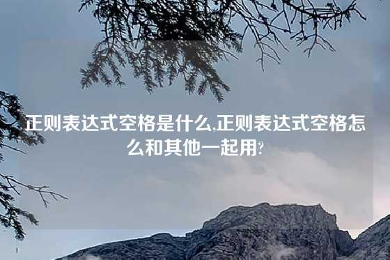 正则表达式空格是什么,正则表达式空格怎么和其他一起用?
