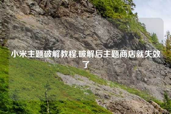 小米主题破解教程,破解后主题商店就失效了