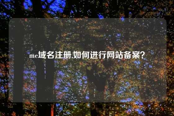 me域名注册,如何进行网站备案？
