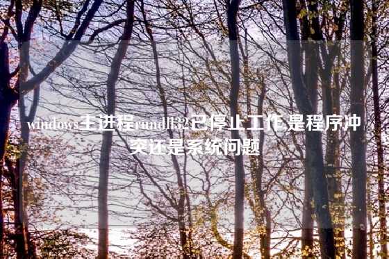 windows主进程rundll32已停止工作,是程序冲突还是系统问题