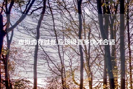虚拟内存过低,应该设置多少才合适