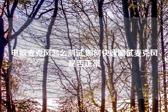 电脑麦克风怎么测试,如何快速测试麦克风是否正常