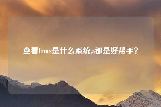 查看linux是什么系统,a都是好帮手？